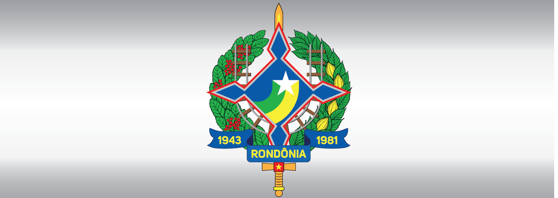 Portal da Transparência RO